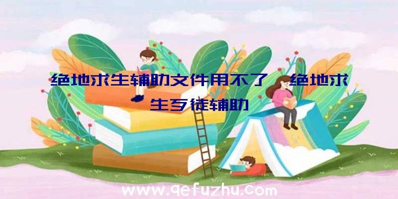 绝地求生辅助文件用不了、绝地求生歹徒辅助