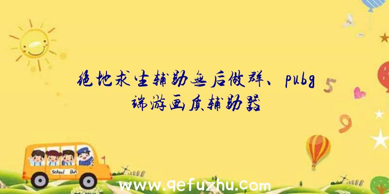 绝地求生辅助无后做群、pubg端游画质辅助器