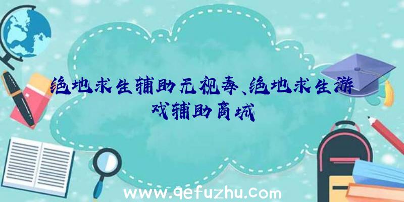 绝地求生辅助无视毒、绝地求生游戏辅助商城