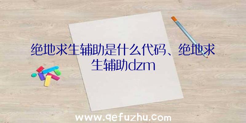 绝地求生辅助是什么代码、绝地求生辅助dzm