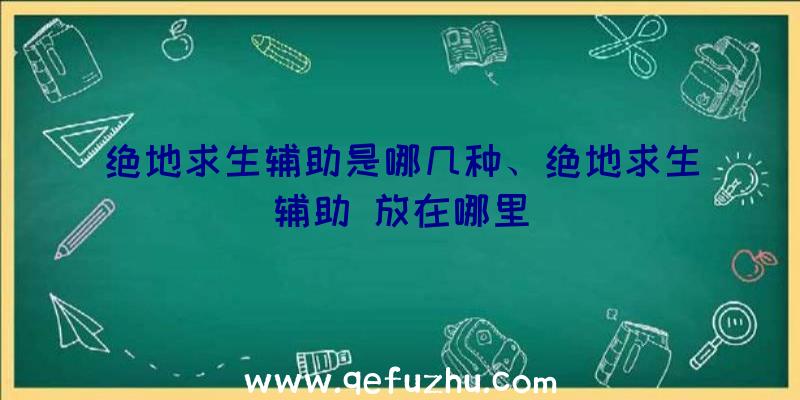 绝地求生辅助是哪几种、绝地求生辅助