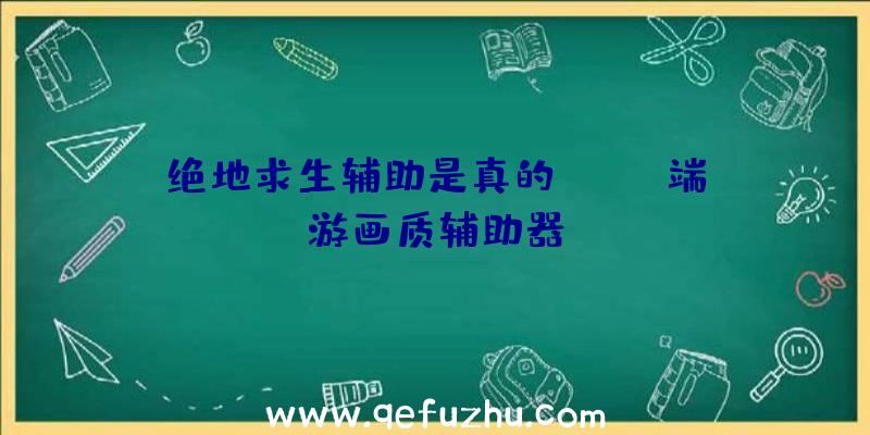 绝地求生辅助是真的、pubg端游画质辅助器