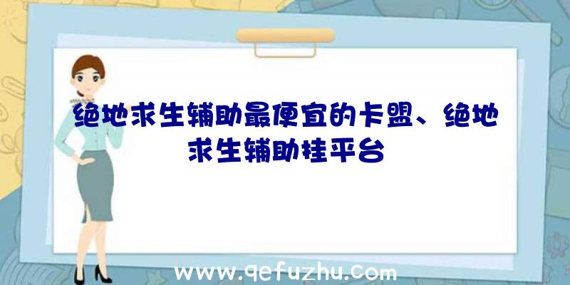 绝地求生辅助最便宜的卡盟、绝地求生辅助挂平台