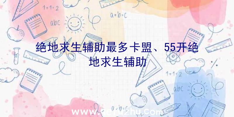 绝地求生辅助最多卡盟、55开绝地求生辅助