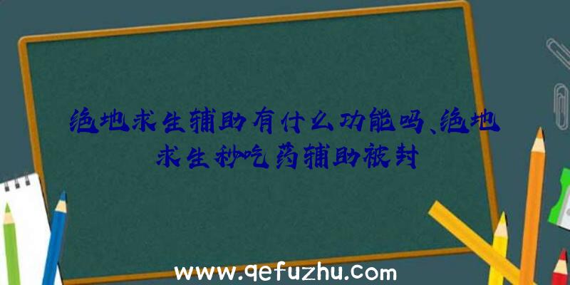 绝地求生辅助有什么功能吗、绝地求生秒吃药辅助被封