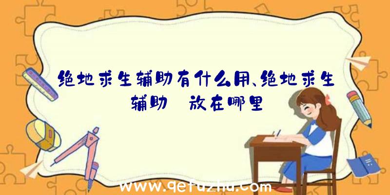 绝地求生辅助有什么用、绝地求生辅助