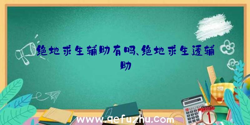 绝地求生辅助有吗、绝地求生透辅助