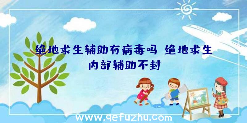 绝地求生辅助有病毒吗、绝地求生内部辅助不封