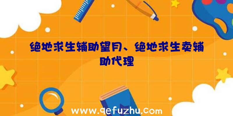 绝地求生辅助望月、绝地求生卖辅助代理