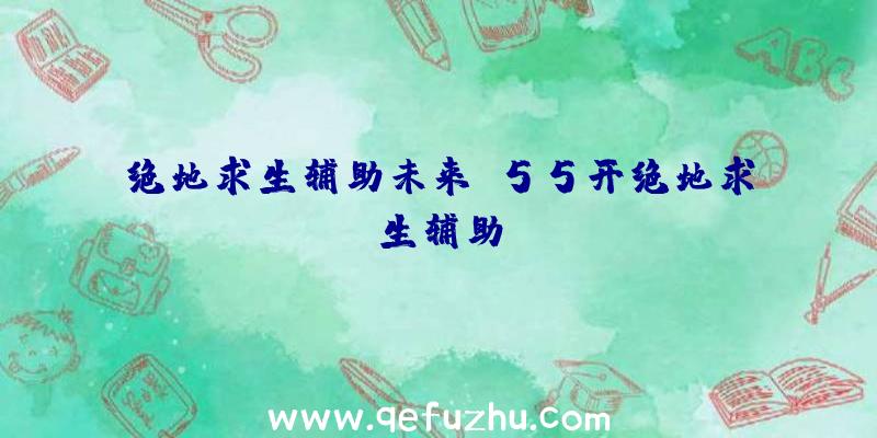 绝地求生辅助未来、55开绝地求生辅助