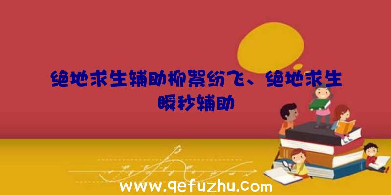 绝地求生辅助柳絮纷飞、绝地求生瞬秒辅助