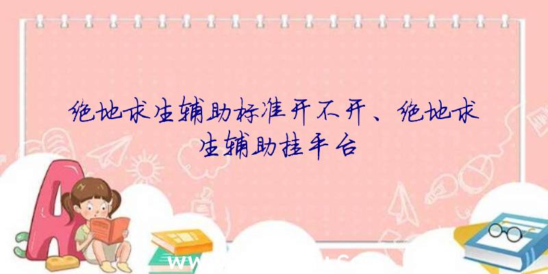 绝地求生辅助标准开不开、绝地求生辅助挂平台