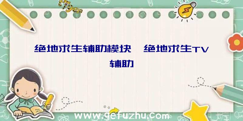 绝地求生辅助模块、绝地求生TV辅助