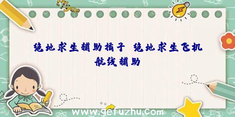 绝地求生辅助橘子、绝地求生飞机航线辅助