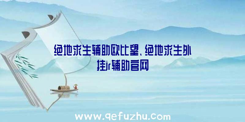 绝地求生辅助欧比望、绝地求生外挂jr辅助官网