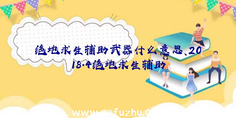 绝地求生辅助武器什么意思、2018.4绝地求生辅助