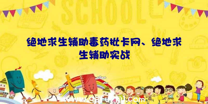 绝地求生辅助毒药批卡网、绝地求生辅助实战