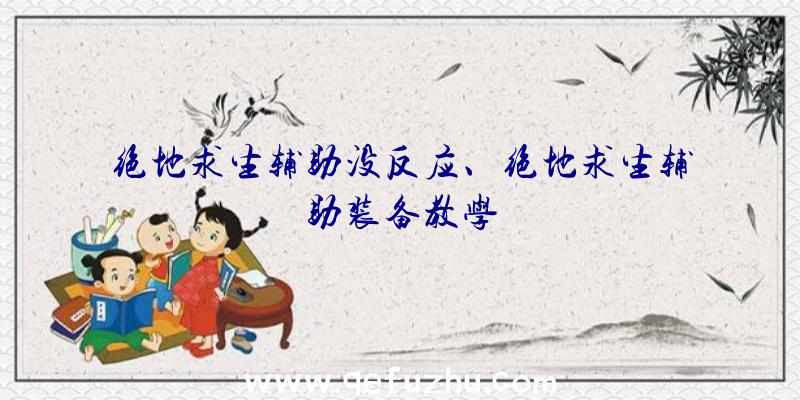 绝地求生辅助没反应、绝地求生辅助装备教学