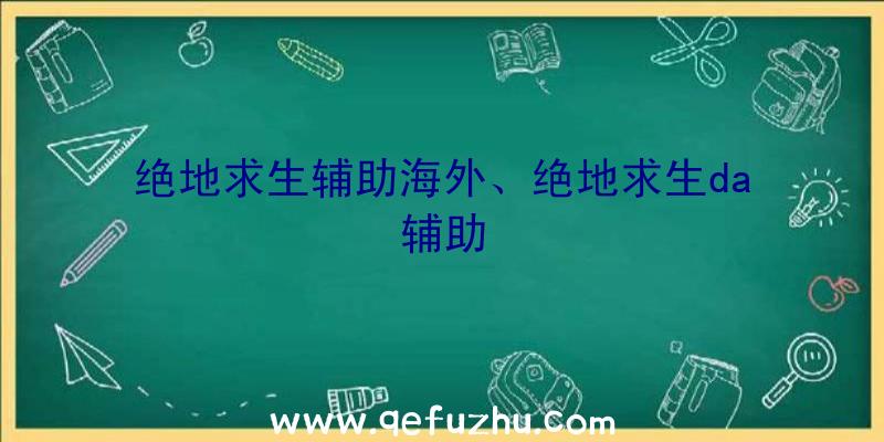 绝地求生辅助海外、绝地求生da辅助