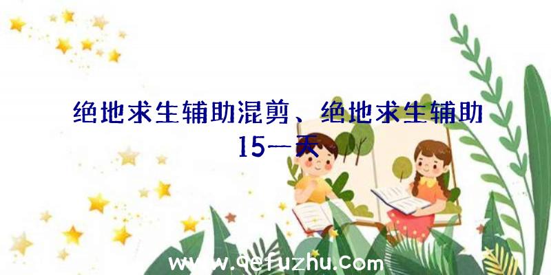 绝地求生辅助混剪、绝地求生辅助15一天