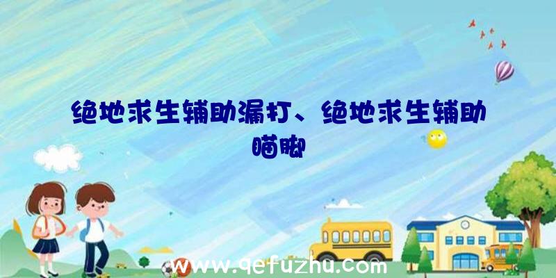 绝地求生辅助漏打、绝地求生辅助瞄脚