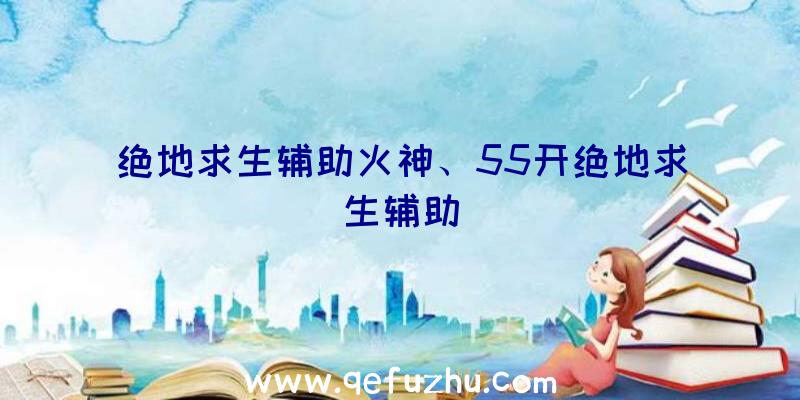 绝地求生辅助火神、55开绝地求生辅助