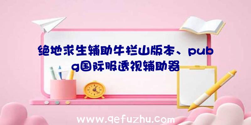 绝地求生辅助牛栏山版本、pubg国际服透视辅助器