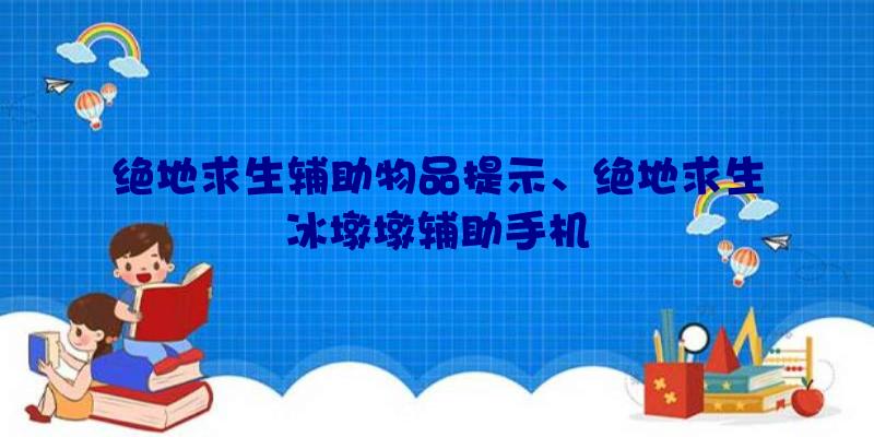 绝地求生辅助物品提示、绝地求生冰墩墩辅助手机