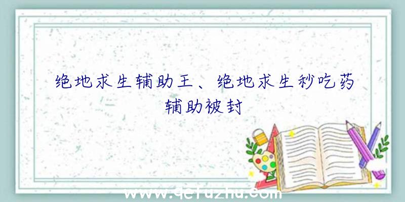 绝地求生辅助王、绝地求生秒吃药辅助被封