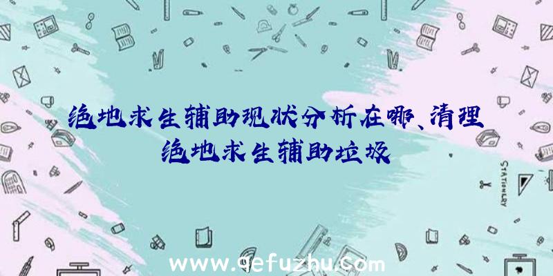 绝地求生辅助现状分析在哪、清理绝地求生辅助垃圾