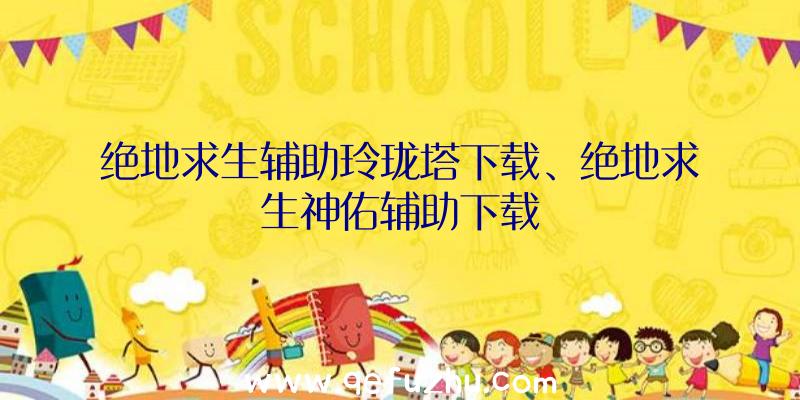 绝地求生辅助玲珑塔下载、绝地求生神佑辅助下载