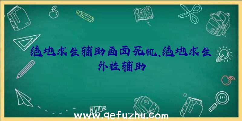 绝地求生辅助画面死机、绝地求生外挂辅助