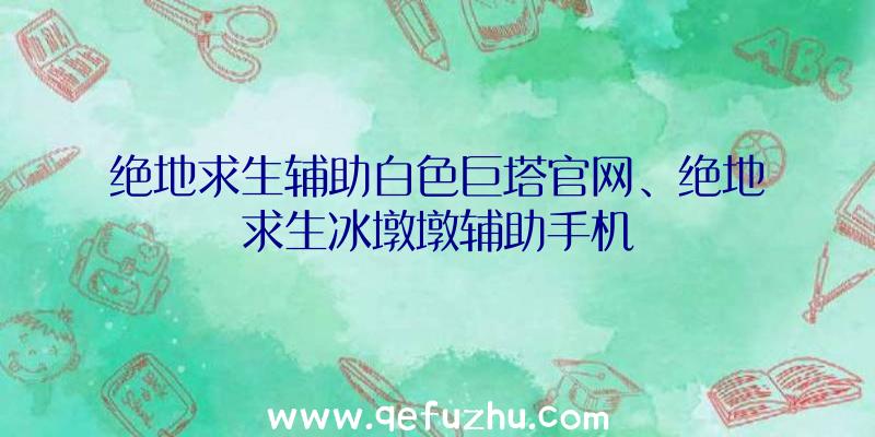 绝地求生辅助白色巨塔官网、绝地求生冰墩墩辅助手机