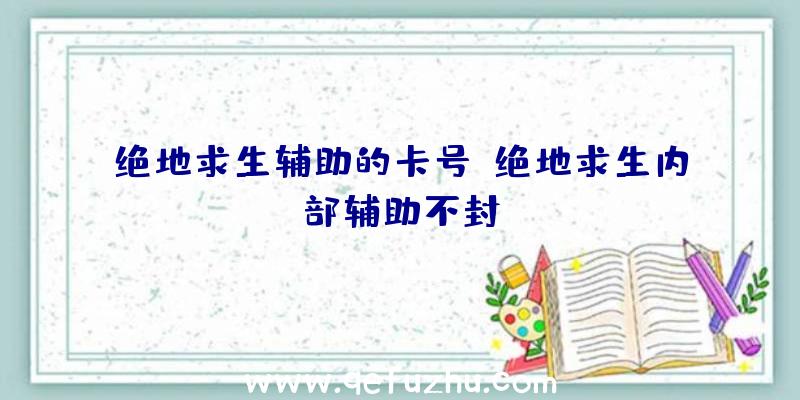 绝地求生辅助的卡号、绝地求生内部辅助不封