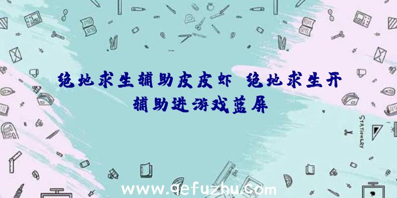 绝地求生辅助皮皮虾、绝地求生开辅助进游戏蓝屏