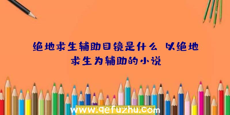 绝地求生辅助目镜是什么、以绝地求生为辅助的小说