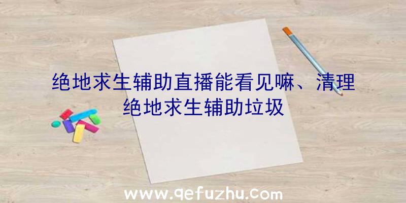 绝地求生辅助直播能看见嘛、清理绝地求生辅助垃圾