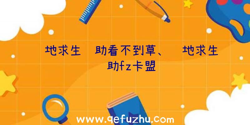 绝地求生辅助看不到草、绝地求生辅助fz卡盟