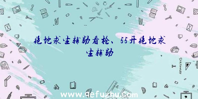 绝地求生辅助看枪、55开绝地求生辅助