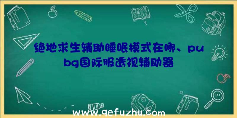 绝地求生辅助睡眠模式在哪、pubg国际服透视辅助器