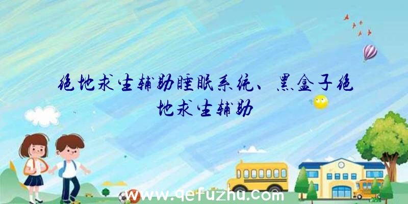 绝地求生辅助睡眠系统、黑盒子绝地求生辅助