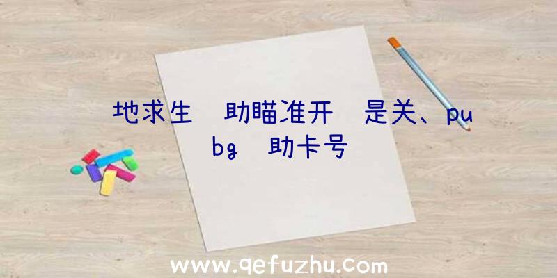 绝地求生辅助瞄准开还是关、pubg辅助卡号