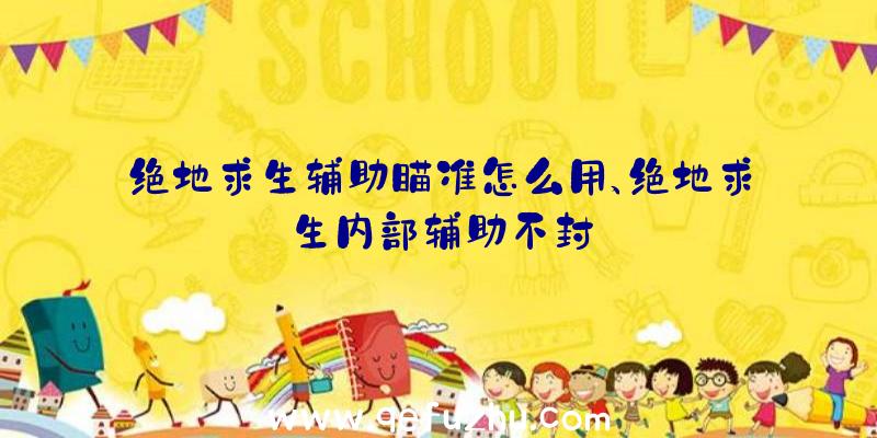 绝地求生辅助瞄准怎么用、绝地求生内部辅助不封