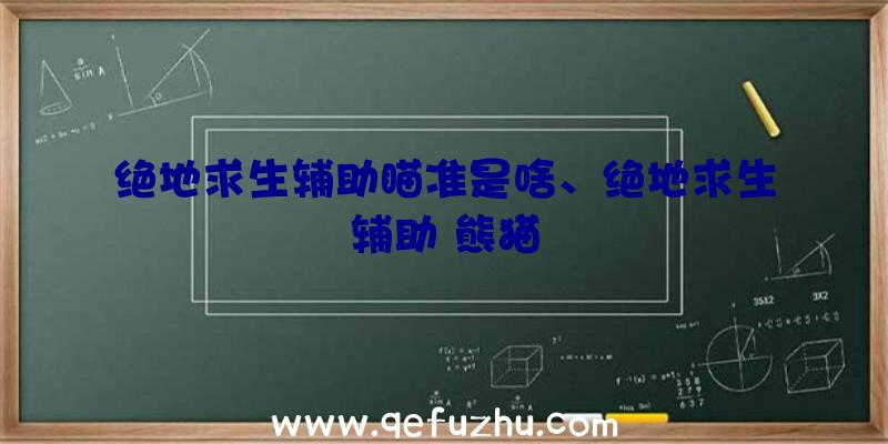 绝地求生辅助瞄准是啥、绝地求生辅助