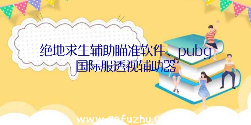 绝地求生辅助瞄准软件、pubg国际服透视辅助器