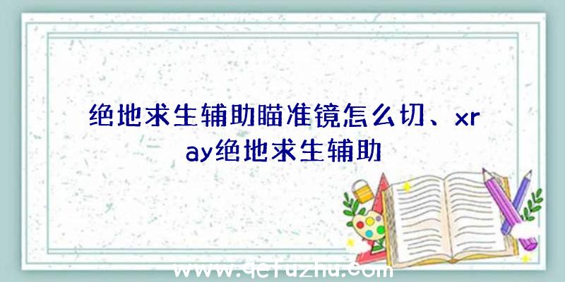 绝地求生辅助瞄准镜怎么切、xray绝地求生辅助