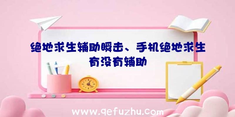 绝地求生辅助瞬击、手机绝地求生有没有辅助