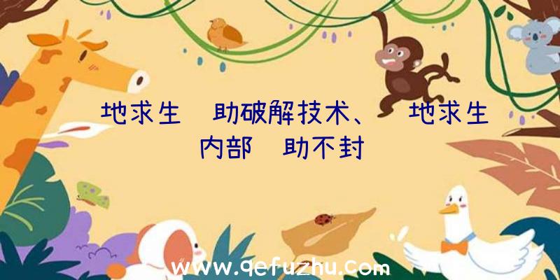 绝地求生辅助破解技术、绝地求生内部辅助不封