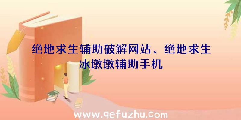 绝地求生辅助破解网站、绝地求生冰墩墩辅助手机