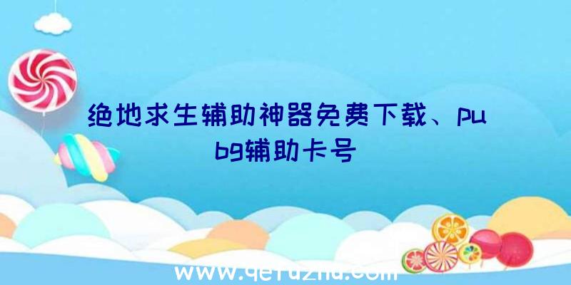 绝地求生辅助神器免费下载、pubg辅助卡号